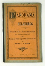 Panorama von Felsenegg