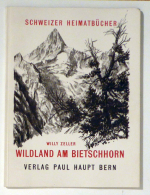 Wildland am Bietschhorn