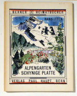 Der Alpengarten Schynige Platte