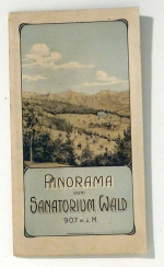 Panorama vom Sanatorium Wald