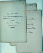 Dreiteiliges Konvolut bestehend aus Dokumenten, welche durch den Oberingenieur der Gotthardbahn, Wilhelm Hellwag, verfasst wurden